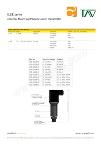 ILSE-G1000-D Datasheet Page 2