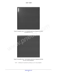 KAF-16801-AAA-DP-B1 Datasheet Pagina 12