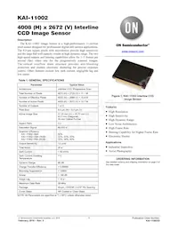 KAI-11002-AAA-CP-B2 Datasheet Copertura