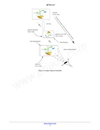 MT9V127IA3XTC-DP1 Datasheet Pagina 12