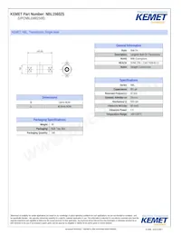 NBL15602S Datasheet Cover