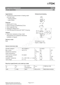 B58100A0414A000 Datasheet Pagina 2