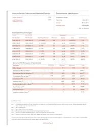 CSM-L10G-LP Datasheet Page 2