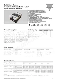 RAM1A23D25 Datenblatt Cover