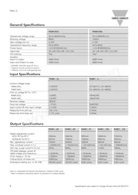 RAM1A60D100G Datasheet Page 2