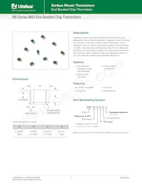 RB501D0J Datenblatt Cover