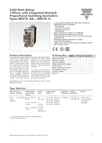 RGC1P48AA30E Datasheet Cover