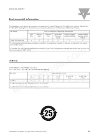 RGC1P48AA30E Datasheet Page 23