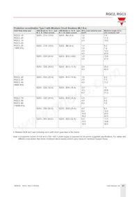 RGC3A22A20KKE Datasheet Page 21
