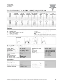 RPYA00424LT Datasheet Page 2