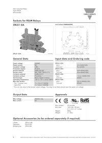 RSLM001060 Datasheet Page 6