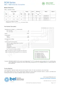 110RCM1000-24 Datasheet Page 2