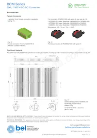 110RCM1000-24 Datasheet Page 17