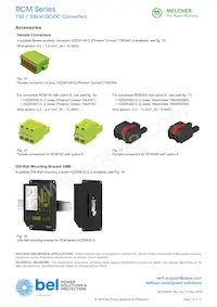 110RCM300-12DMQF Datasheet Page 18