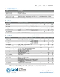 350DNC40-24-CG Datasheet Page 2