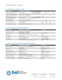 700DNC40-12-8G Datasheet Pagina 3