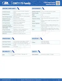 CINT1175A5606K01 Datasheet Page 2