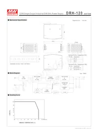 DRH-120-48 Datasheet Page 2