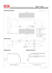 DRT-960-24 Datasheet Pagina 2