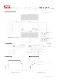 DRT-960-24 Datasheet Page 2