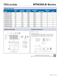 DTM300PW540D2 Datenblatt Seite 2