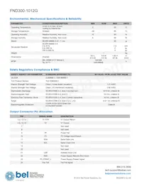 FND300-1012HG Datasheet Pagina 3