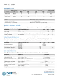 FNP300-1012G Datasheet Pagina 2
