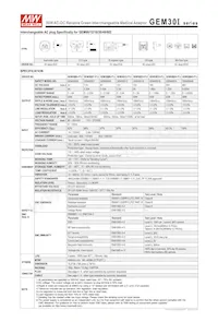 GEM30I24-P1J Datasheet Page 2