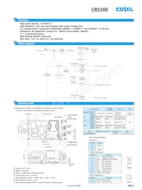 GMA300F-24-R3 Datenblatt Seite 3