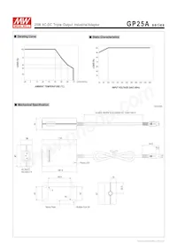 GP25A13A-R1B Datasheet Page 3