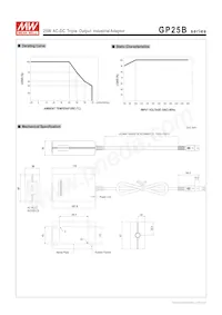 GP25B13A-R1B Datenblatt Seite 3