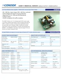 GSM11-28AAG Datasheet Cover