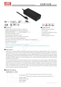 GSM160B20-R7B Datasheet Copertura