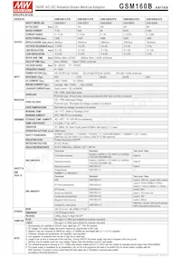 GSM160B20-R7B Datasheet Pagina 2