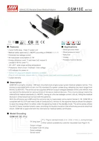 GSM18E07-P1J Datasheet Cover