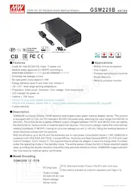 GSM220B15-R7B Datasheet Copertura
