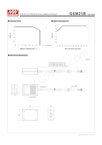 GSM25B07-P1J Datasheet Page 3