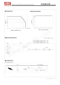 GSM40B18-P1J Datasheet Page 3
