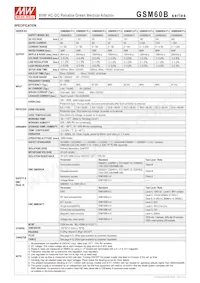 GSM60B48-P1J Datasheet Page 2