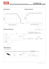GSM60B48-P1J Datasheet Page 3