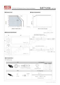 GST120A20-R7B Datasheet Page 3