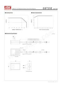 GST25E48-P1J Datasheet Page 3