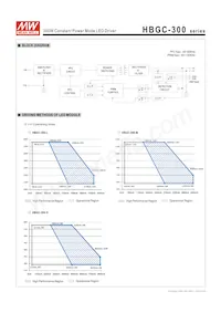 HBGC-300-L-AB Datasheet Pagina 3