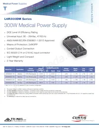 L6R300DM-480-C14 Datasheet Cover