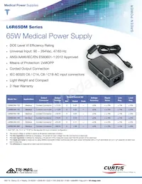 L6R65DM-120-C8 Datasheet Cover