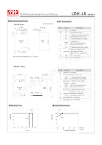 LDH-45B-1050WDA Datasheet Page 2