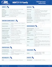 MINT3110A1908K01 Datasheet Page 2