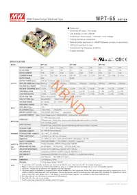 MPT-65B數據表 封面