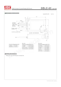 ODLC-65-1750 Datenblatt Seite 6
