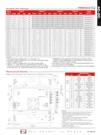 PBM300PQ07-C Datasheet Pagina 2